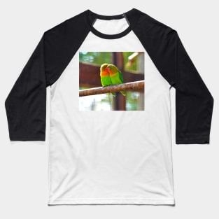 parrots.  a pair of lovers... Baseball T-Shirt